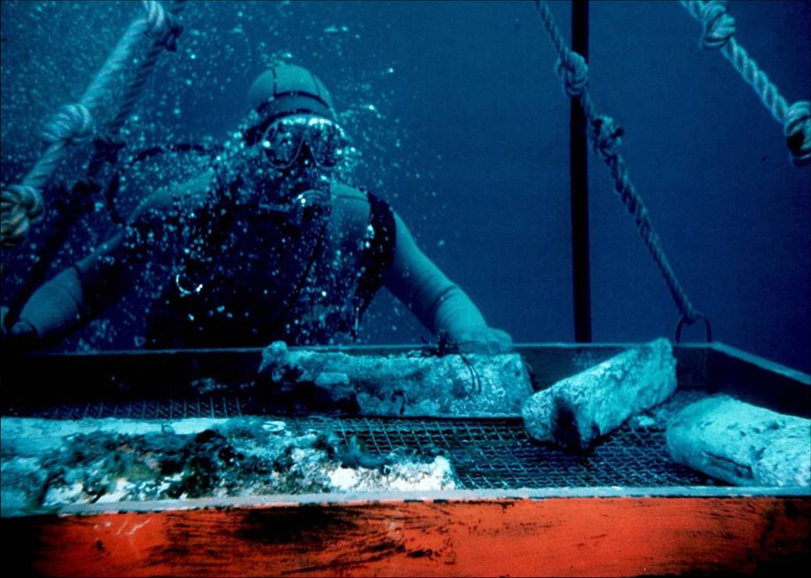 © Copyright Il Nuovo Saggiatore/Società Italiana di Fisica di Bologna L'utilizzo della foto è gratuito previa autorizzazione dell'Ufficio Comunicazione INFN