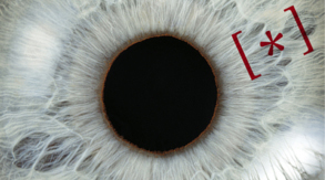 scienza festival 2016