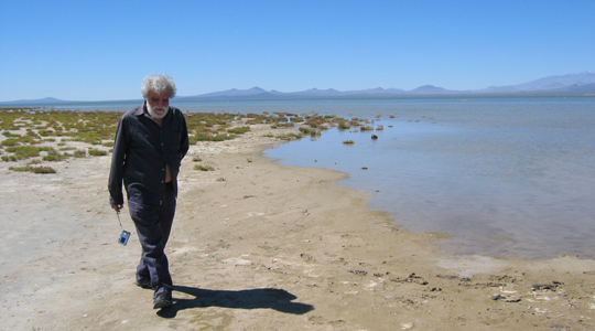 Aurelio Grillo 2017 2017