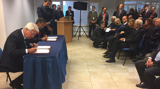 argenina tagliata 2017