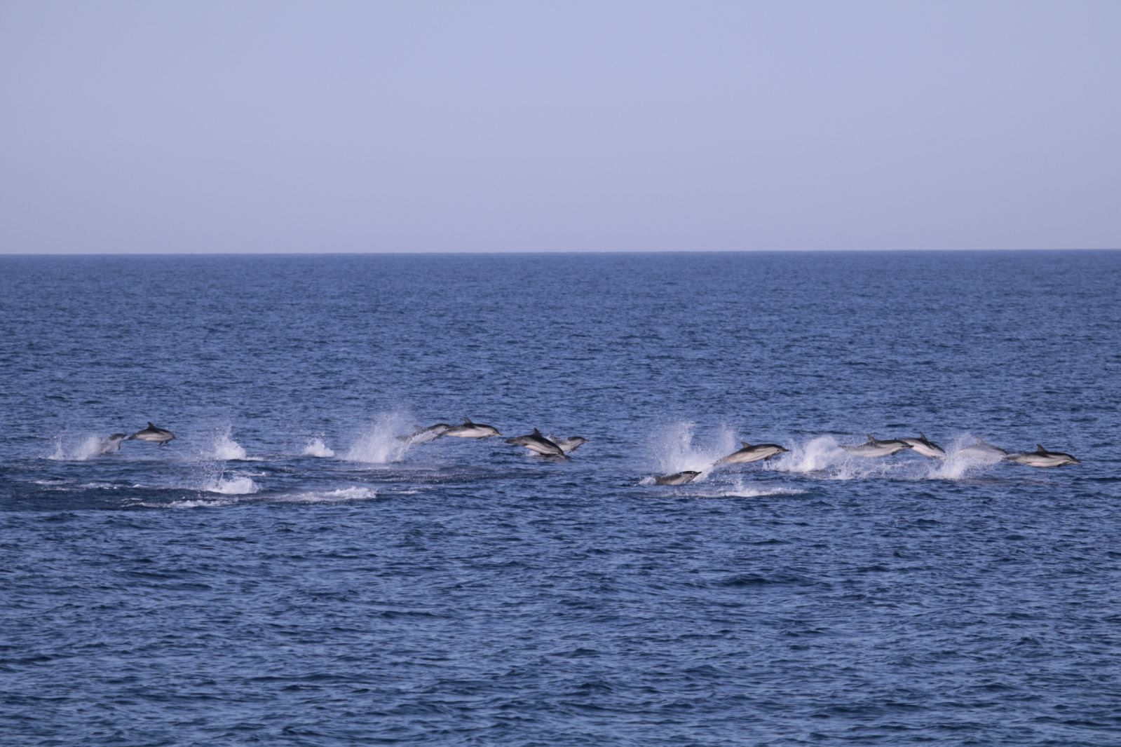 Credit fondazioneCima1