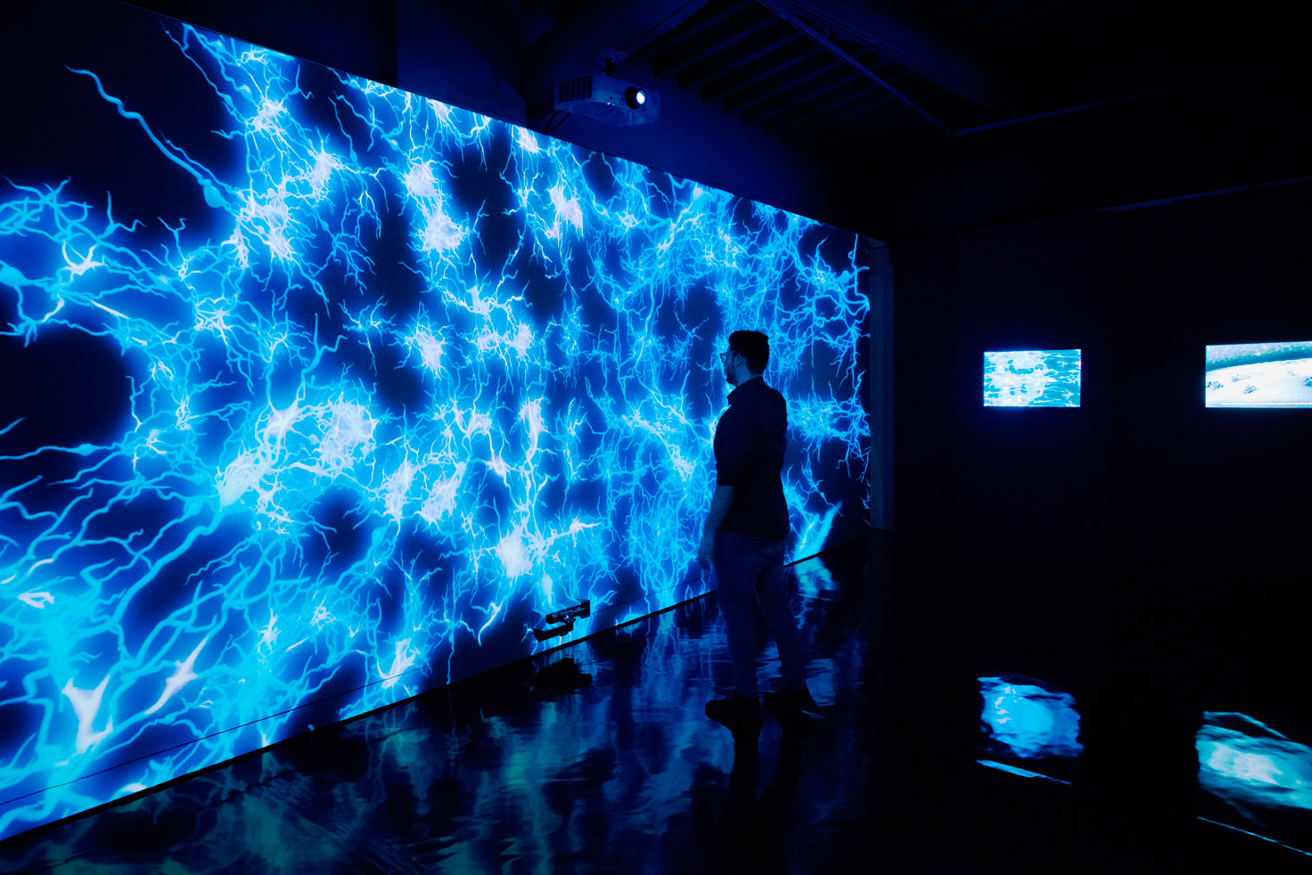 forestaneuroni videoinstall2