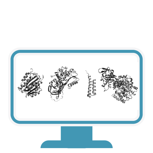 icona folder proteico