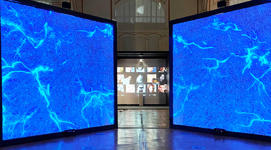 esof cyborn infn 2020b