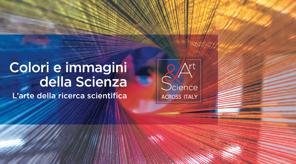 immagine di un'opera dell'edizione 2018-2020 di Art and Science