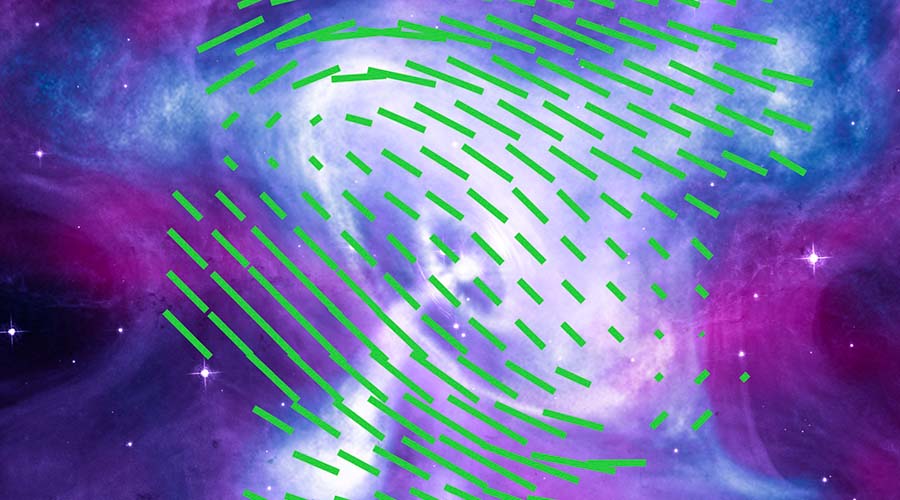 immagine news Crab Nebula Magnetic Filed