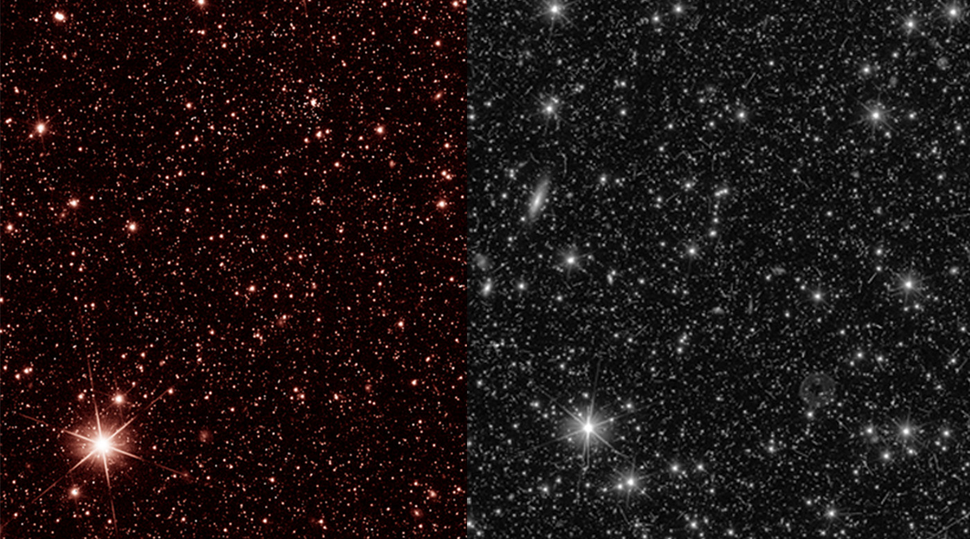 immagine news firs light