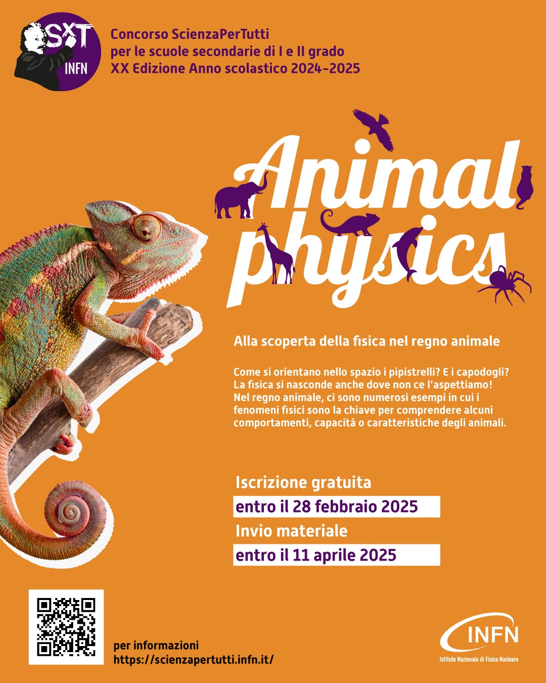 locandi del concorso